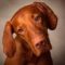Sue Willis Avatar